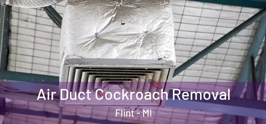 Air Duct Cockroach Removal Flint - MI