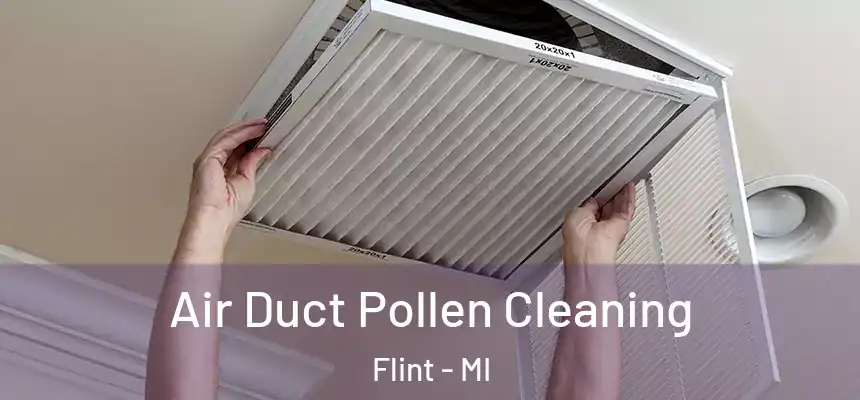  Air Duct Pollen Cleaning Flint - MI