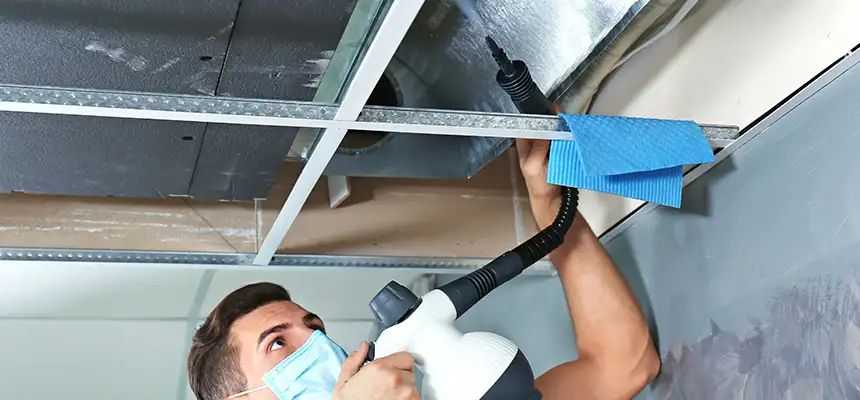 Our Air Duct Rodent Removal Services in Flint, MI