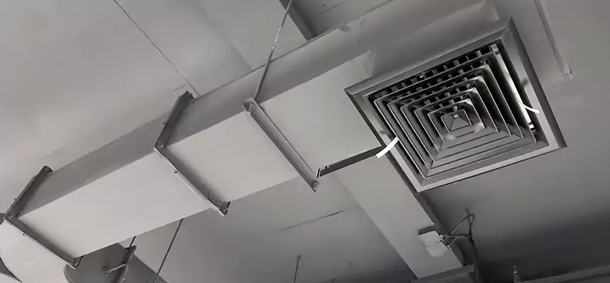 Restorative Allergy Relief Vent Cleaning – Coil, Blower & Housing Detail in Flint