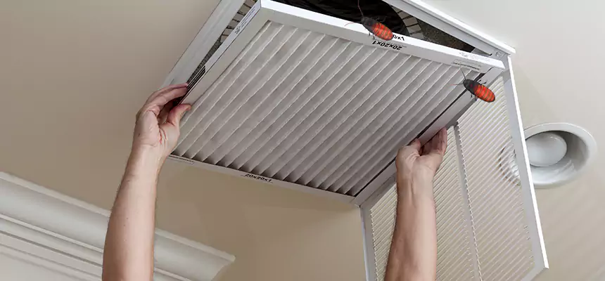 Our Insect Removal from Air Ducts Services in Flint, MI