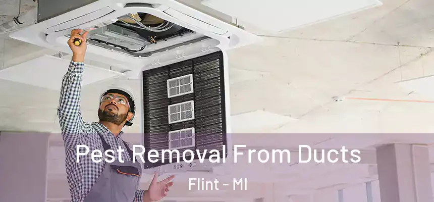  Pest Removal From Ducts Flint - MI