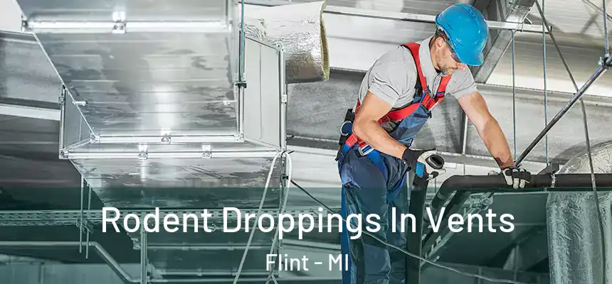 Rodent Droppings In Vents Flint - MI