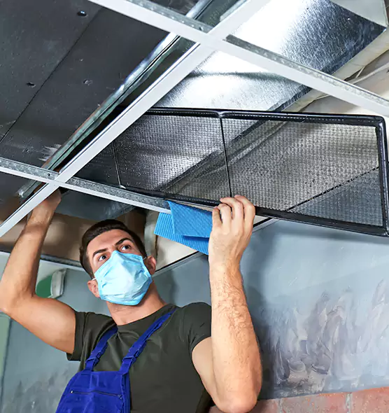 Professional Air Duct Pollen Cleaning in Flint, MI
