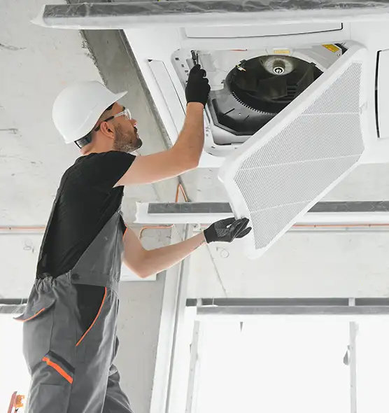 About Air Duct Rodent Removal in Flint, MI