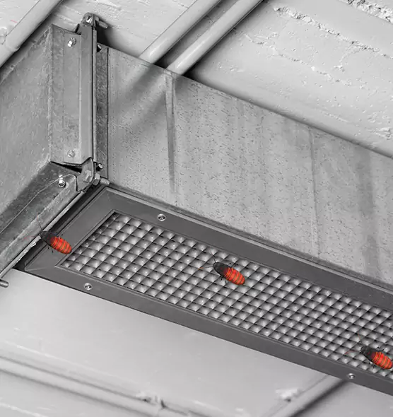 Affordable Insect Removal from Air Ducts in Flint, MI