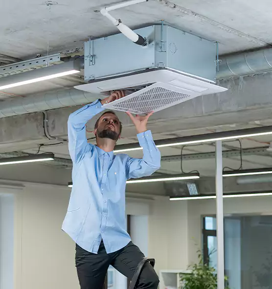 Advanced Rodent Droppings In Vents in Flint, MI