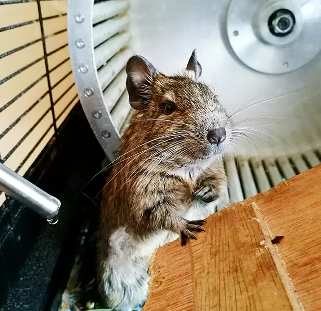 Why Homeowners & Businesses Trust Us Flint, MI?