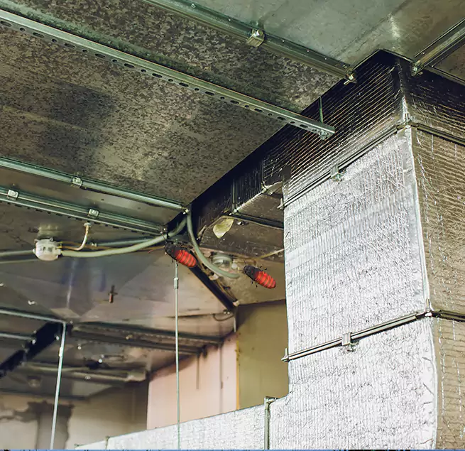 Why Homeowners & Businesses Trust Us Flint, MI?